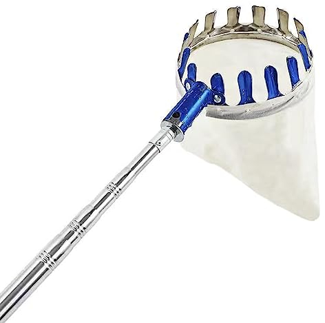 LekLai Obstpflücker Mit Teleskop-Verlängerungsstange, Leichter Obstfänger Aus Edelstahl Für Guava-Orangen-Obstbaumpflücker, Edelstahl, 4 M/Stainless Steel/6M/19.6Ft