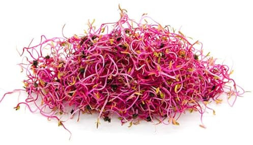 Italian Sprout - Semi per microgreens - Valerianella Lullaby - 500 gr