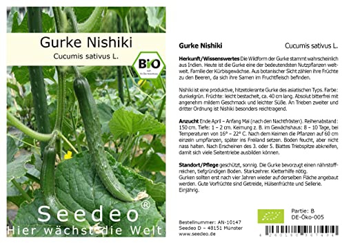 Seedeo® Salatgurke Nishiki (Cucumis sativus L.) ca. 10 Samen BIO