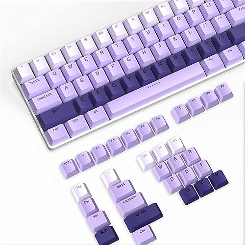 ABS Keycaps 112 Tasten, OEM Profil Double-Shot Tastenset für Gaming Tastatur, ANSI-ISO Layout (US), für Cherry Gateron Kailh MX Schalter Mechanische Tastatur, Hellvioletter Farbverlauf