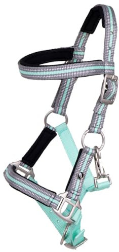 QHP Fohlenhalfter Flore mit Stirnband (Ice Green, Shetty)