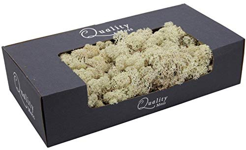 Finnland - Moos zum Basteln - vorgereinigt - präpariert & gefärbt - Luftgetrocknet - Bastelmoos Finnlandmoos (Natur, 500g)