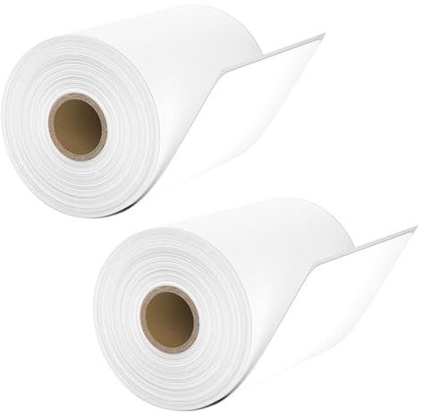 Thermodirekt-Etiketten, blanko, Weiß, 10,1 x 15,2 cm, 250 Etiketten pro Rollen Thermo-Etiketten, Adress-Etikett, Versandetikett, Paketetikett für Thermodrucker (2 Rollen I 250 Etiketten)