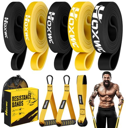 HOXWC Resistance Bands, Heavy Duty Pull Up Resistance Band with Door Anchor, Handles, Exercise Bands for Working Out Men&Women, Ideal for Pull Up, Muscle Training, Physical Therapy, and Home Workouts