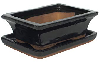 Iflo® Keramik Bonsai-Schale mit Untersetzer – Rechteckig & flach – Schwarz – Ablaufloch – Frostsicher – Für Innen & Außen – Pflanzschale, Übertopf 15 x 10 x 5 cm