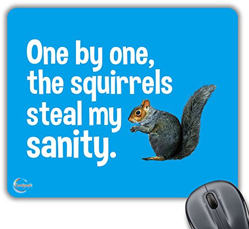 Coralgraph Inc CP422 One by One The Squirrels Steal My Sanity Novelty Gift Printed PC Laptop Computer Mouse Mat Pad