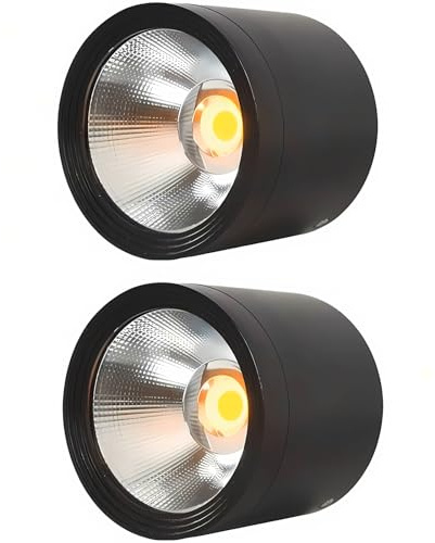 MEGHALI 2-Pack Outdoor Ceiling Light, LED Ceiling Spotlight 18W, Modern Waterproof Flush Mount Downlight, Black Aluminum Exterior Ceiling Lights for Patio Balcony, Warm Light 3000K