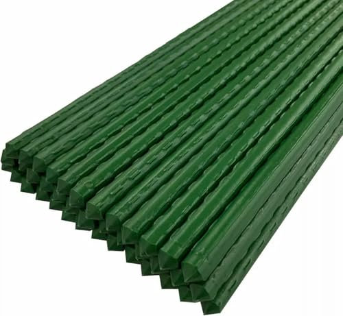 Green Garden Plant Stakes, Garden Canes Plastic Coated Steel Tube Garden Stakes, Plant Support Sticks, Coated Steel Shrub/Vine Support Spikes, 8mm x 75cm (10)