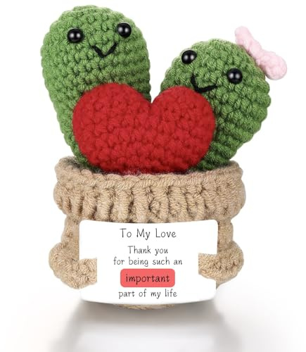 ailov Regali per lui, il suo fidanzato, fidanzata, supporto emotivo positivo all'uncinetto, cactus, I Love You, regalo di compleanno, regalo per coppia, moglie, marito, Pasqua (grazie)