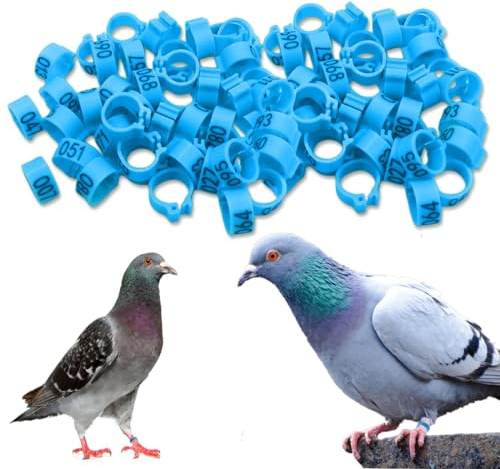 EIHI 100 anillos de paloma de 8 mm, pata de pájaro con anillos de plástico, anillos de identificación para pájaros, loros, palomas, codornices y pájaros jóvenes (azul)