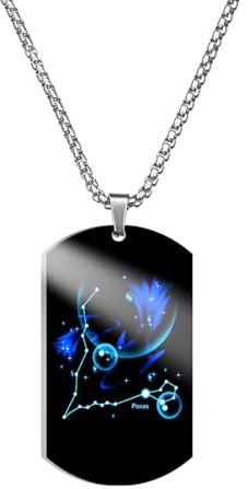 Caimeytie Collier en Acier Inoxydable avec Signe Astrologique, Pendentif Constellation et Plaque Militaire pour Homme