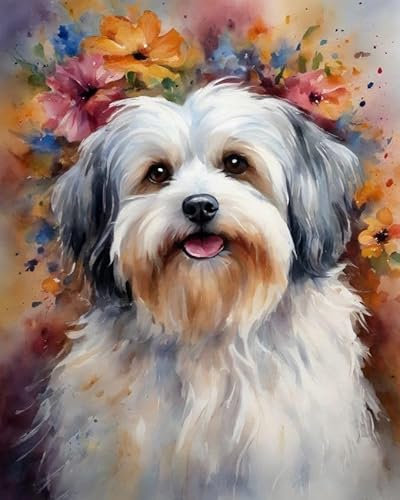 ZMHZMY Malen nach Zahlen Havaneser-Hund Painting by Numbers Kit DIY ölgemälde Kit für Erwachsene,Anfänger Painting Set 16x20 Zoll Leinwanddruck Wandkunst Dekoration