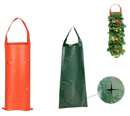 AENZA 2 Stück Hängend Erdbeer Pflanztaschen aus Vliesstoff, Erdbeer-Pflanzbeutel,Pflanzbeutel Tomaten Umgedrehter, Pflanzsack mit Löchern für Erdbeer Tomaten Kräuter Gemüse Pflanzen