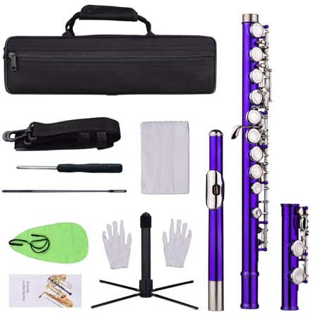 Jeffergarden C Flauto Foro Chiuso 16 Chiavi Flauto con Custodia per Trasporto Guanti per Pulizia della Pulizia del Cacciavite Mini per Prestazioni e Pratica Quotidiana (PURPLE)