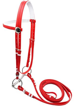 QSTDGVPW Brida para Caballo con Correa para La Y Cabezada, Cómoda Y Ajustable, Cuerda para Montar para Entrenamiento, Clásica, M Red