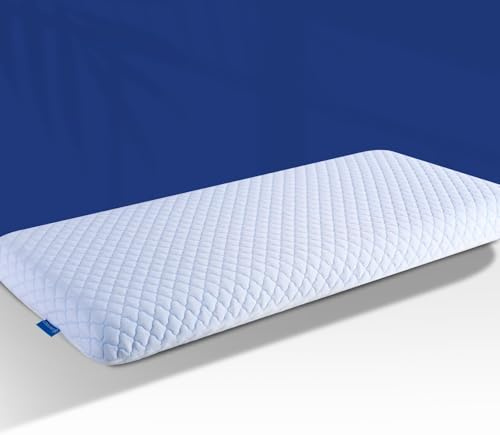 Hapiclody Flaches Kopfkissen aus Memory Foam, Dünnes Kissen für Bauch- und Rückenschläfer, Kühlend & Atmungsaktiv, Abnehmbarer Bezug Waschbar, 40x80 cm