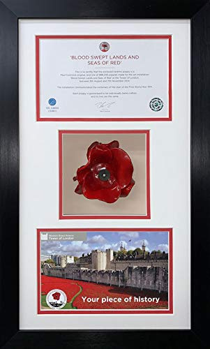 Tower of London Poppy Display Case 3 Inch Deep Shadow Box Frame 22.5 x 13.5 Inch Memorabilia Presentation for Ceramic Poppy Certificate and Photo | White Mount - Black Frame | Made in UK