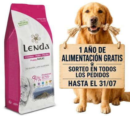 Lenda Puppy Maxi 12KG - Pienso para Perros Cachorros de Razas Grandes y Gigantes | Comida para Perros Rica en Pollo |Pienso Hipoalergénico | Natural