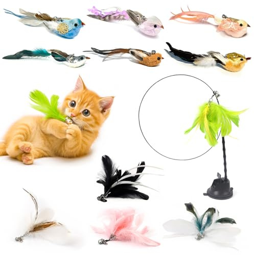 ZAYLUMO 12-teiliges interaktives Katzenspielzeug Set – Katzenangel mit Saugnapf & 11 Ersatzköpfen – Handgefertigte Vögel & Federn mit Glöckchen – Spielzeug zur Selbstbeschäftigung für Katzen