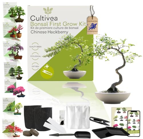 CULTIVEA Första bonsai-kit – komplett set med frön, tillbehör och guide – bonsai för odling | originell presentidé (Bonsai Bagolaro)
