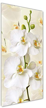 Tulup Glas-Bild Wandbild aus Glas - Wandkunst - Wandbild hinter gehärtetem Sicherheitsglas - Dekorative Wand für Küche & Wohnzimmer 50 x125 - Blumen & Pflanzen - Weiße Orchidee - Weiß