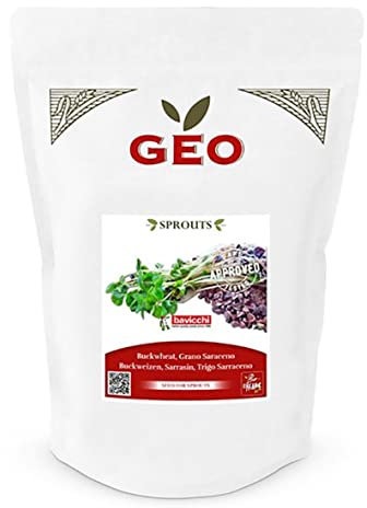 GEO Graines à Germer - Sarrasin - Graines à Cultiver Bio pour Salades et Plats avec Germination Rapide - 500g