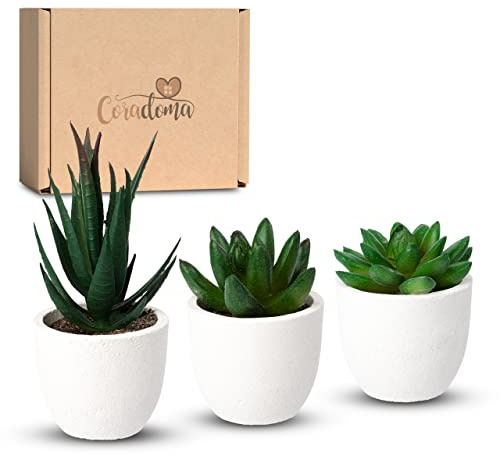Coradoma Künstliche Pflanzen Mini 3er Set Weiß Dekoration Kunstpflanzen im Topf | Wohnzimmer Deko modern Küchendeko | Kunstblume Sukkulente Fensterbank Schreibtisch Wanddeko Büro