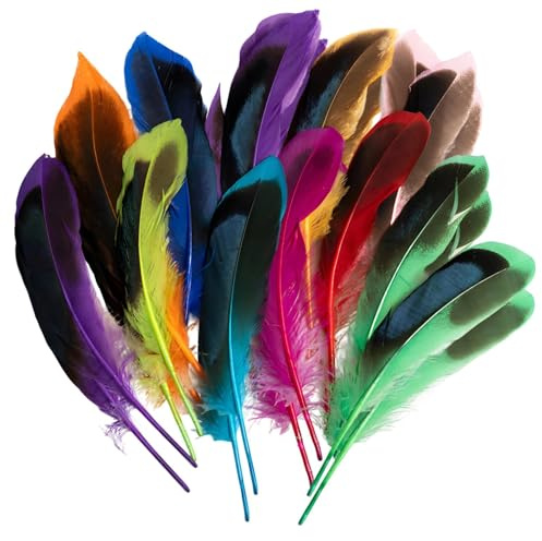 SHILIUZHI 100 Stücke Bunte Federn, Federn zum Basteln, Dekofedern, Natürliche Gänsefeder, Bastelfedern Feather, für DIY, Kunstwerk, Party Dekoration, Hüte, oder Haarschmucken, 10cm-15cm