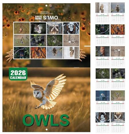 Calendario 2026 – 28,5 X 21 Cm, Diseño De Papel Animales, Planificación Mensual, Páginas De Planificación En Bloques Linajes | Ideal Para La Oficina, La Pared Del Lugar De Trabajo, El Área De Estudio