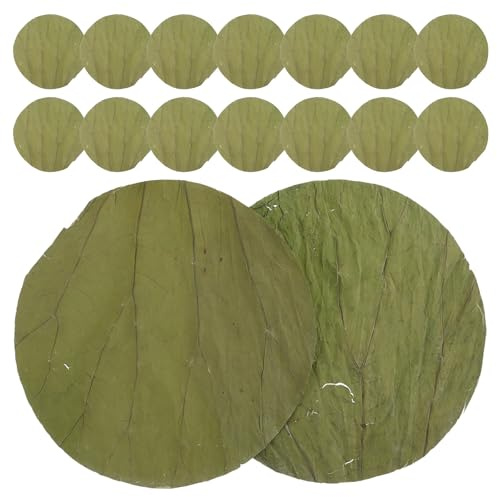 NUOBESTY 200 hojas de loto secas redondas de 16 cm para servir buffet, ideales para decorar platos de sushi, dim sum, fiambres y tablas de embutidos.