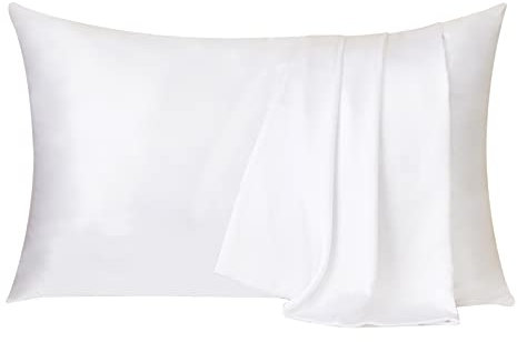 Ethlomoer Natural Pure Silk Pillowcase for Hair and Skin, Both Side 19mm, Hypoallergenic, 600 Thread Count, Smooth Silk Pillow case with Hidden Zipper, Gifts for Women Men, 50x75 cm (White)