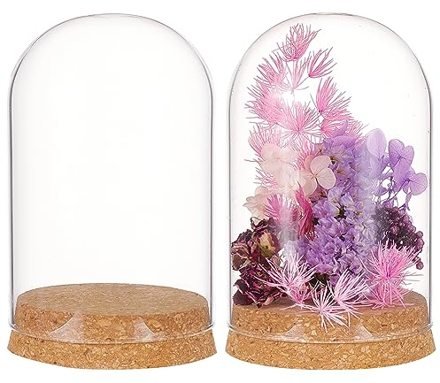 BENECREAT 2 Set Glass Display Dome with Cork Base, 8x11.5cm Tabletop Centerpiece Cloche Bell Jar for Flower Plants, Specimens, Crafts Decorations, Inner Diameter: 76mm