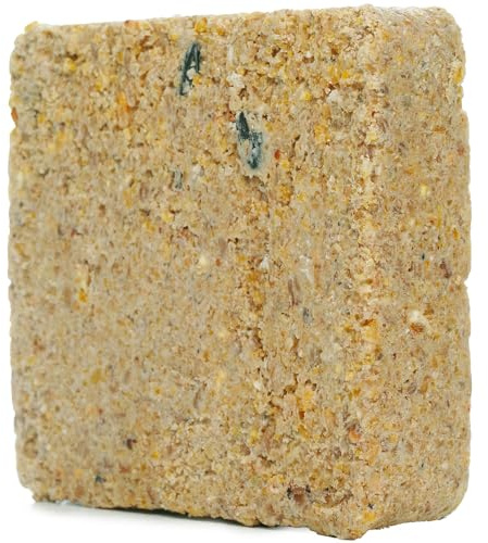 SQUAWK Suet Fat Blocks | Premium Garden Wild Bird Food | Enhanced Formula | Naturally Blended, High in Energy & Protein-Rich Feed | Full of Nutritious Fat Fibre & Moisture (Mealworm, 5)