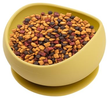 Silikon-Katzennapf – Napf mit Saugnäpfen | Schnurrhaar-Müdigkeit, Welpenfütterung, Saugnapf, runde Schüssel, erhöhte Kanten, um Verschütten von Wasser, Nass- und Trockenfutter zu verhindern, für Hunde