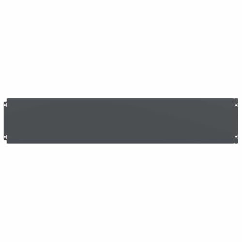 vidaXL Bordes césped 10 uds Antracita 20x103 cm Acero Laminado frío, borduras de jardín, borduras para césped, borduras para Caminos