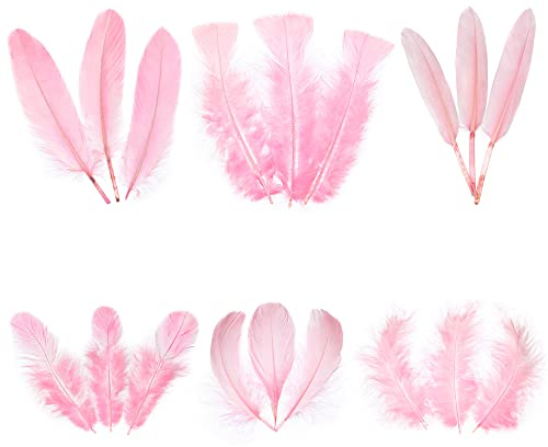 Larryhot Rosa Bastelfedern Bulk – 240 Stück 6 Stile gemischte natürliche Federn für Hochzeit, Zuhause, Party, Traumfänger, Zubehör und DIY Handwerk (Rosa)
