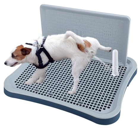Pee Pad Holder,Dog Potty Tray with Splash Guard,Indoor Potty for Small Dogs, Waterproof and Easy to Disassembly and Cleaning Dog Toilet