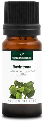 ALCANFOR - 10 mL - Aceite Esencial Orgánico - 100% Puro, Natural, Quimiotipado y Certificado AB