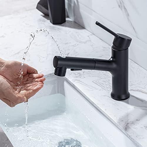 Waschtischarmatur mit Herausziehbarer Brause Wasserhahn Bad Heißer Und Kalter Waschbecken Armaturen,Schwarz