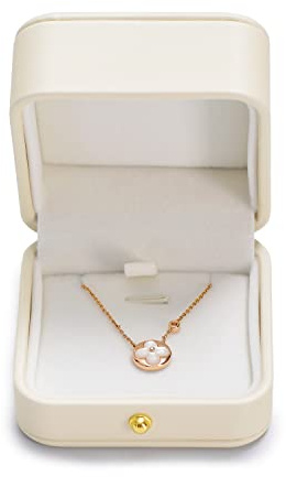 Papten chaîne de rangement des bijoux de stockage, blanc pendentif colliers de stockage boîte à bijoux d'affichage boîte cadeau pour la Saint-Valentin anniversaire