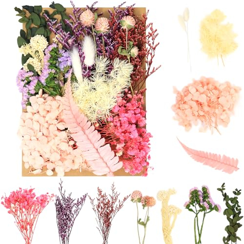 Sularpek Trockenblumen - Getrocknete Blumen zum Basteln und Dekorieren - Klein Set für Kunst, DIY, Harz, Scrapbooking und Handwerk - Machen Sie eigene Karten