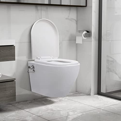Brokky Wall Hung Rimless Toilet with Bidet Function Ceramic White-Modern Close Coupled Toilet,Bathrooms Toilets Back to Wall Ceramic Soft Closing Seat