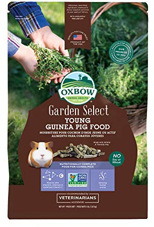 Oxbow Garden Select Young Guinea Pig Food, Alfalfa & Timothy Hay Guinea Pig Pellets, High Fiber for Digestive Health, Vitamin & Mineral Pet Food Pellets, Small Pet Products, Made in USA, 4 lb Bag