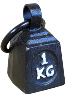 Cast Iron Paperweight 1kg Ring Scale Weight Vintage Novelty Door Stop Bookend