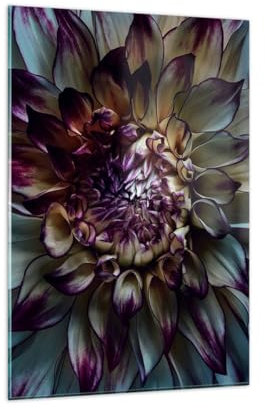 Wandbilder Dekoration Wohnzimmer Blätter Agave Blume Bilder auf Glas 80x120cm Glasbild Schlafzimmer Küche Deko Wand Kunstdruck Art Groß XXL Wanddeko Bild im Glas Modern Wall Decor GPA80x120-5122