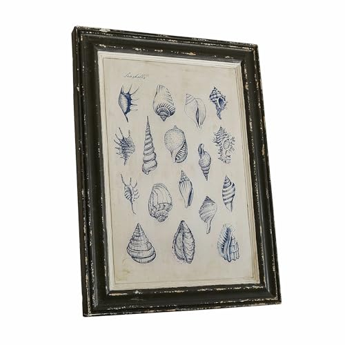 Loberon Dekoboard Allarmont, Echtholzoptik, mit Zeichnungen schöner Muschelarten, edler Look in Shabby-Chic-Optik, maritimes Flair, Wanddekoration,Magnesiumoxid, schwarz/weiß/blau
