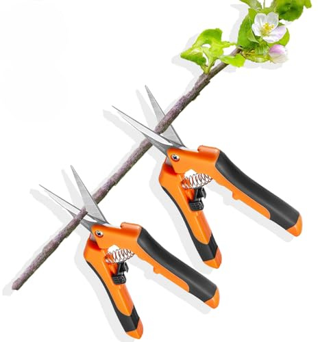 2 Stück Gartenschere Trimmschere, Ernteschere Schere, pflanzenschere, bonsai Schere, Grow Zubehör, Für Garten BonsaiBlumen Pflanzen Ernte Obst Blumenstrauß Rosenschere