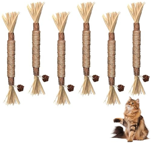 LATRAT 6 stycken kattmyntpinnar, tandvård och mot dålig andedräkt, säkra katttuggleksaker för stresslindring, kattmynta leksak för kattungar och katt