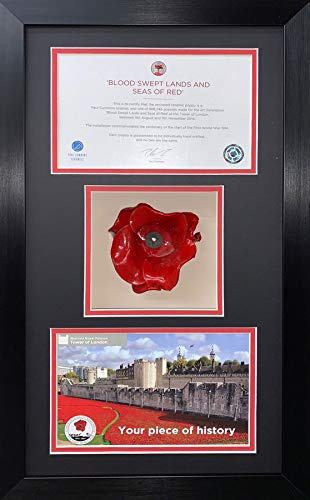 Tower of London Poppy Display Case 3 Inch Deep Shadow Box Frame 22.5 x 13.5 Inch Memorabilia Presentation for Ceramic Poppy Certificate and Photo | Black Mount - Black Frame | Made in UK