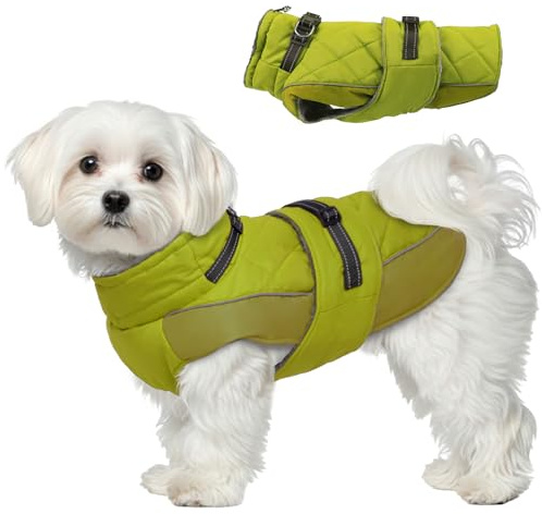 Katzinst Hundeweste, Hunde Jacke Winter für Kleine Hunde mit Geschirr, Wasserbeständig Winddicht Wintermantel Hund für Kleine Hund, Warmer Hundejacke für Zwergschnauzer, Grün, S